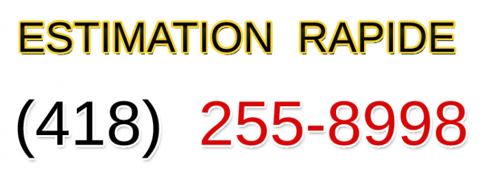 estimation-rapide-1-700x283